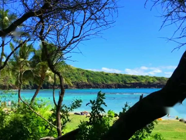 hdmi光纖線(xiàn)作用